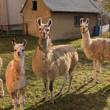 Ferienwohnungen Satkula Crostwitz Esterno foto